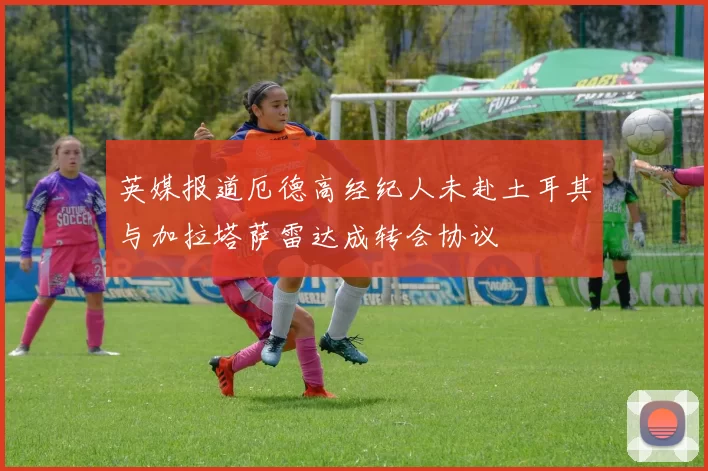 英媒报道厄德高经纪人未赴土耳其与加拉塔萨雷达成转会协议