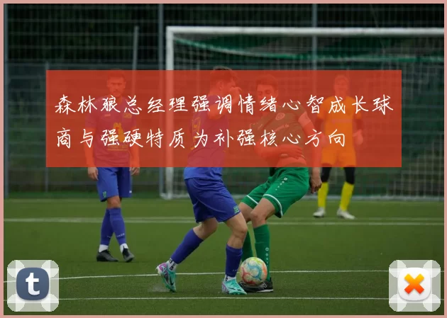 森林狼总经理强调情绪心智成长球商与强硬特质为补强核心方向